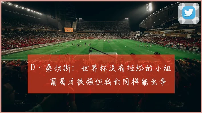 D·桑切斯：世界杯没有轻松的小组，葡萄牙很强但我们同样能竞争